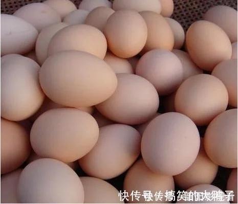 t01f12c533d31960d3e.webp.jpg