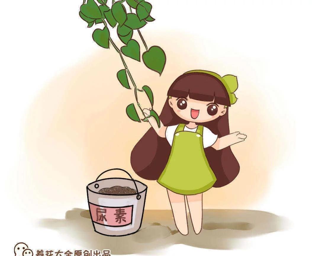 t01a00fc343acdaf285.webp.jpg