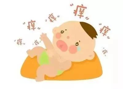 t01d35a115e1486605d.webp.jpg