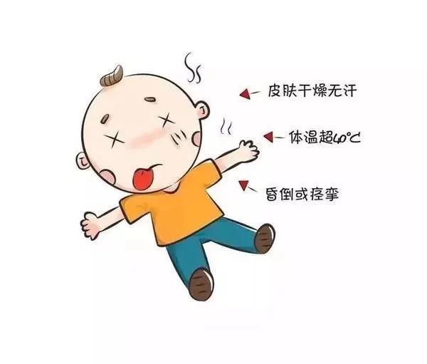 t01f58ccd7a1f4395ea.webp.jpg