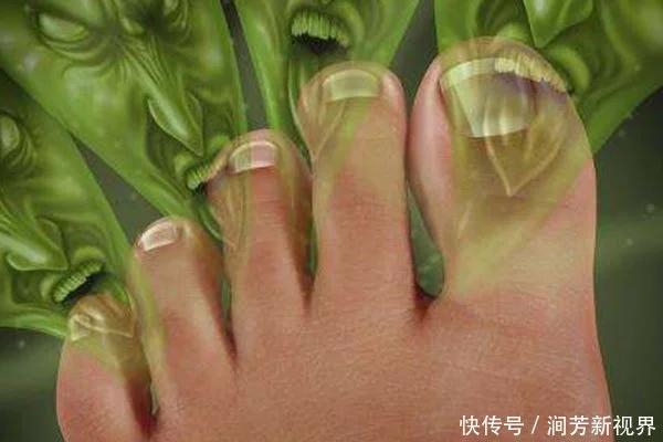 t013ccf3a3481e26e17.webp.jpg