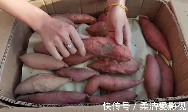 t0107790e3a36d267cb.webp.jpg