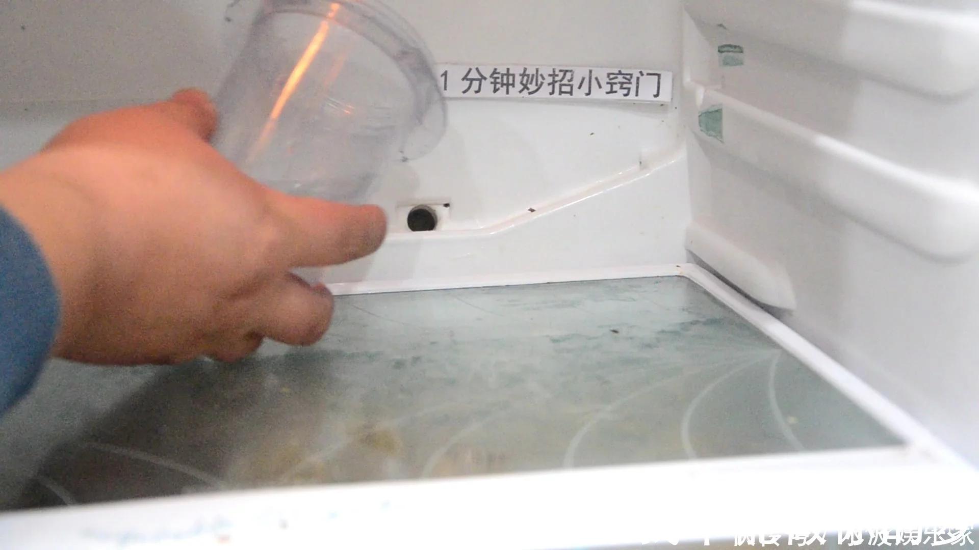 t01498630cccb286417.webp.jpg