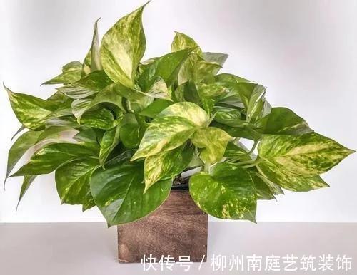 t01e1fd50c6c1c60636.webp.jpg