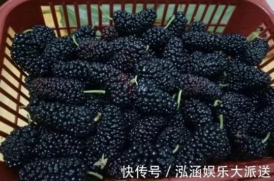 t0168cb14bbfc766c27.webp.jpg