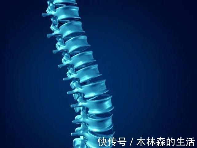 t0112c62892aa7d2fe0.webp.jpg