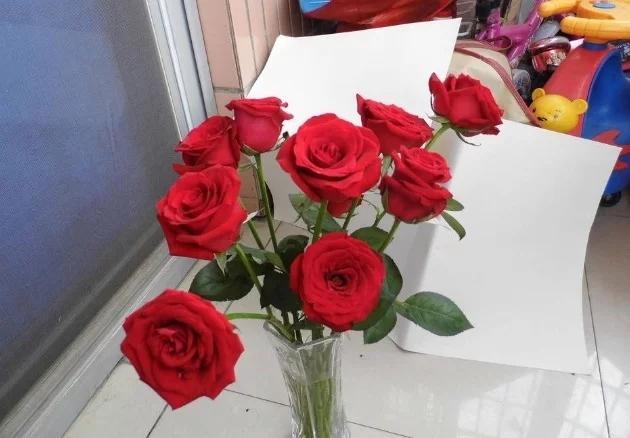 t016be3d8baf6bda781.webp.jpg