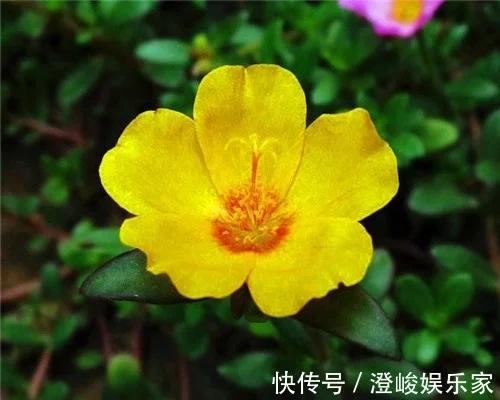t0190c7d0a5f988035c.webp.jpg