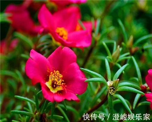 t01351491ffec23f085.webp.jpg