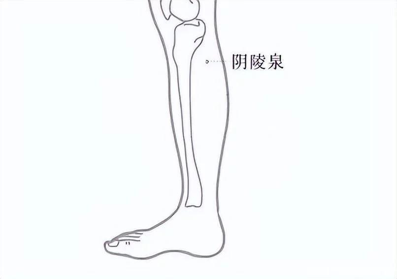 t01c7641cd62e92580d.webp.jpg