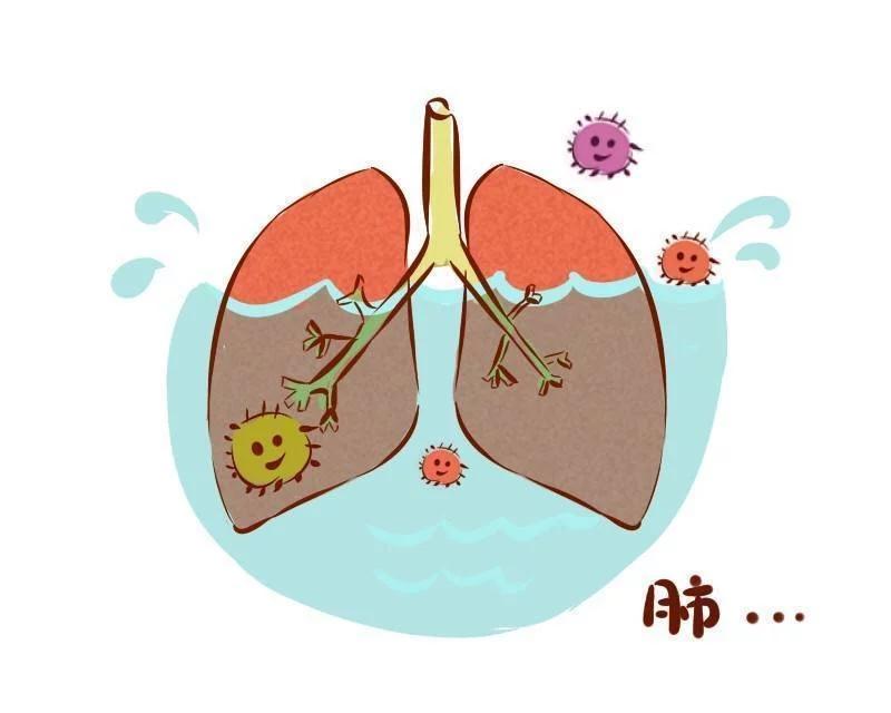 t0109dec89ebe2c289b.webp.jpg