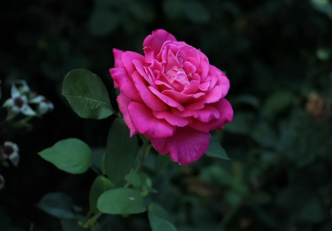 1655776064(1).png