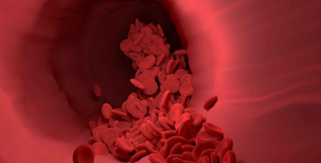 1657856829(1).png