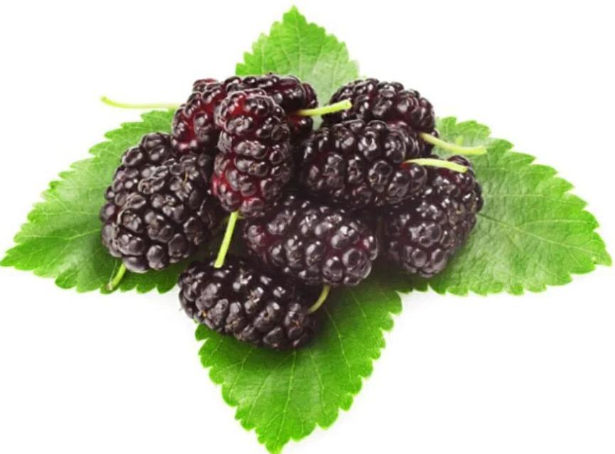 t01117e4599c0515534.webp.jpg
