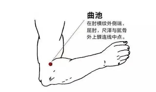 t01557e0c3ce8da909a.webp.jpg