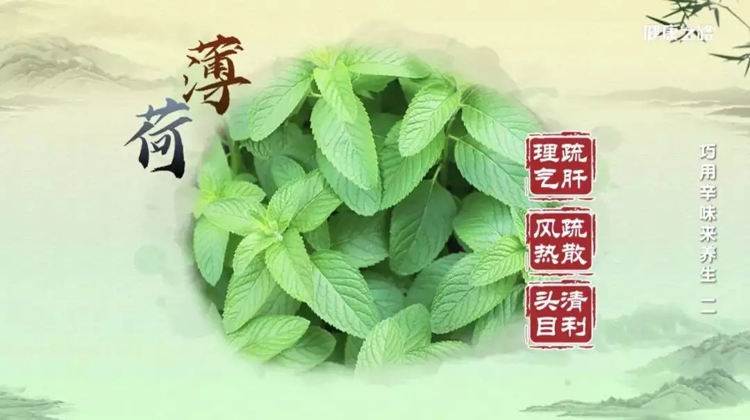 t0104dc1114af5d181a.webp.jpg