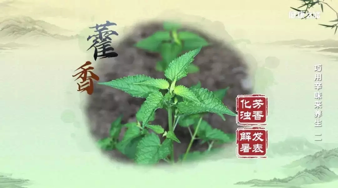 t0115f18a2506ec59e4.webp.jpg