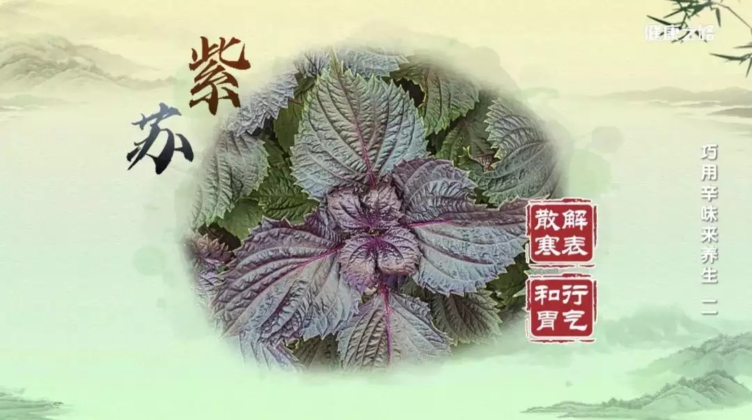 t0127247f97f3fb0bef.webp.jpg