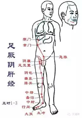 t0102fe5c1366ee15cf.webp.jpg