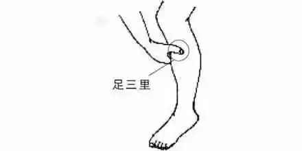 t01330238418eb2af99.webp.jpg