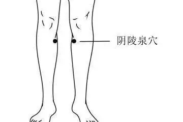 t01f50719a00cea3cb0.webp.jpg