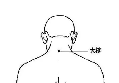t01f1d7ef02b01efe4d.webp.jpg