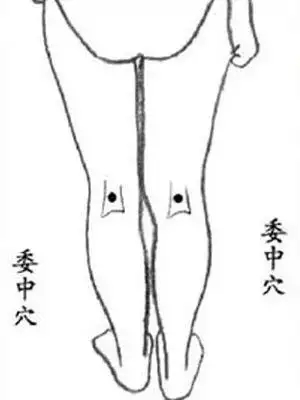 t018281b3294ac58024.webp.jpg