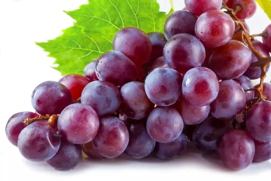 t01f4a617f7044c93f5.webp.jpg