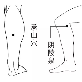 t01148265932d01adad.webp.jpg
