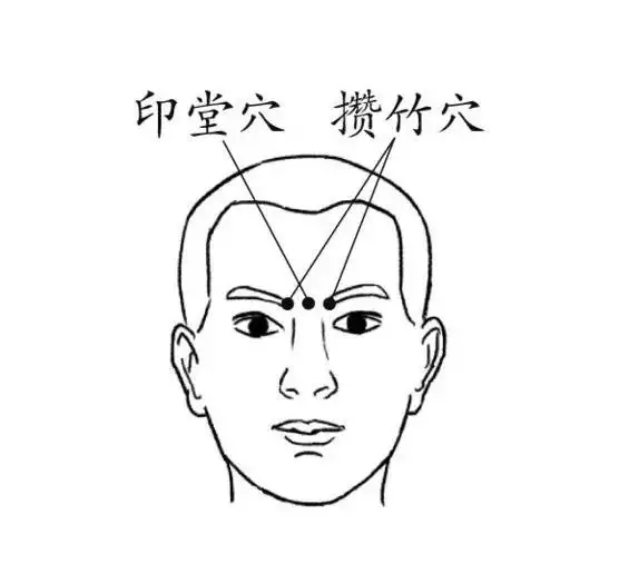 t0162b4c533aeb543ef.webp.jpg