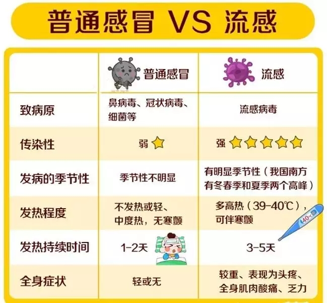 t016a6b2f3a41be4fa9.webp.jpg