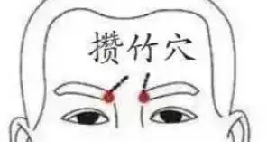 t019b38a9bd4cc85ccb.webp.jpg