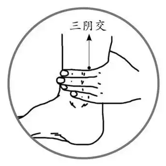 t01becd12f4369e9ec6.webp.jpg
