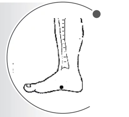 t01989428ba81a48f3c.webp.jpg