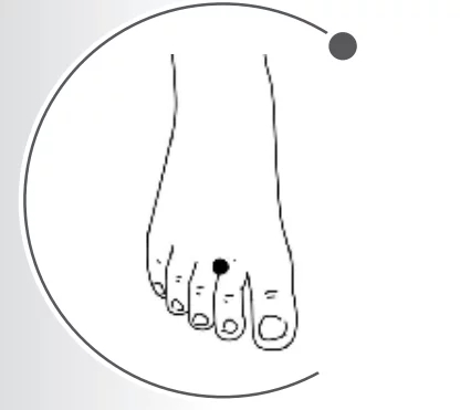 t017b44bda60bde52e3.webp.jpg