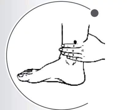 t016b2e9c4df8fdbe13.webp.jpg
