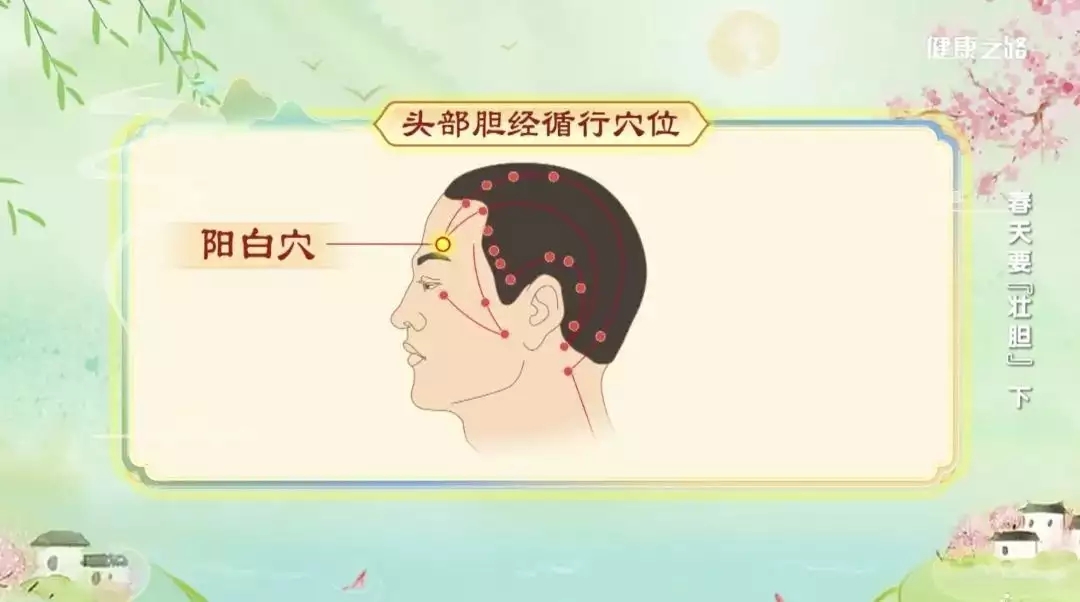 t01923752456de0b7ba.webp.jpg
