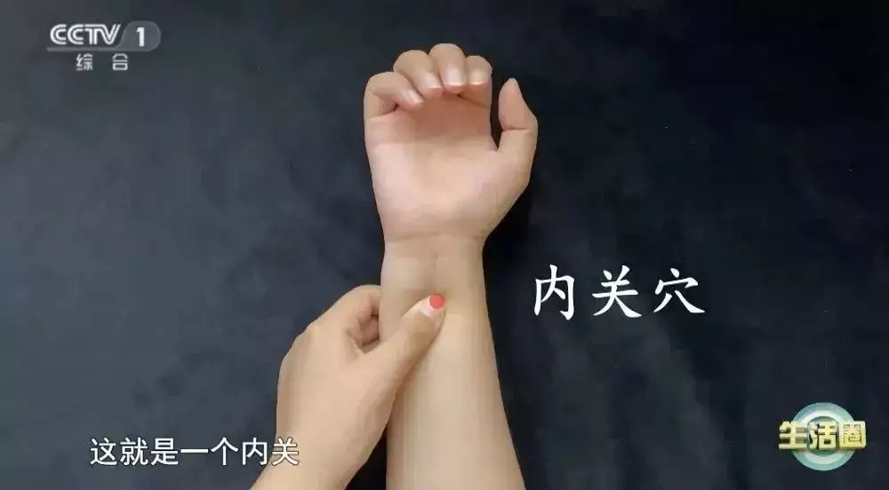 t11508c75c8d62991101889823c.webp.jpg