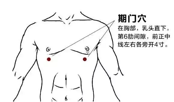 t11508c75c8ab6049f954b7c055.webp.jpg