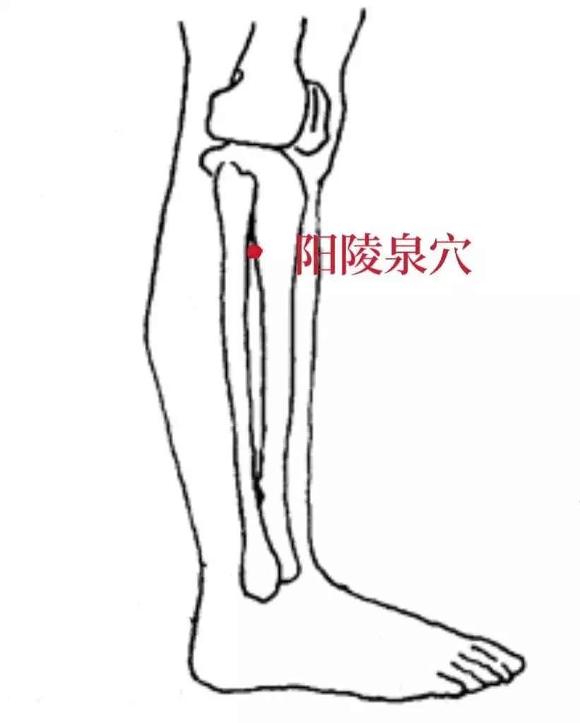 t11508c75c8f6a1051fc6be7177.webp.jpg