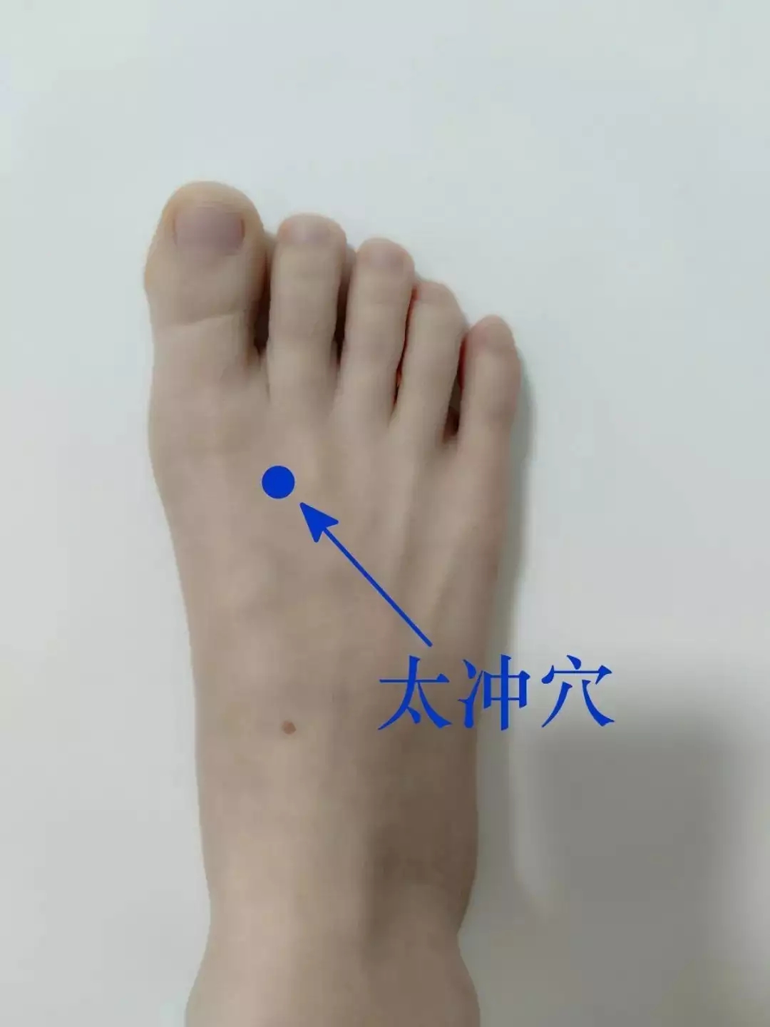 t11508c75c843cf3c084d4623e0.webp.jpg