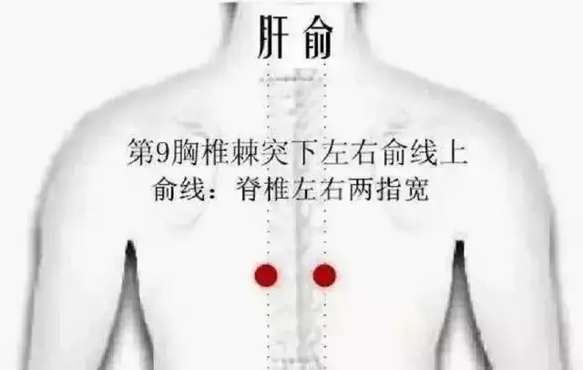 t11508c75c85053cf465938de77.webp.jpg