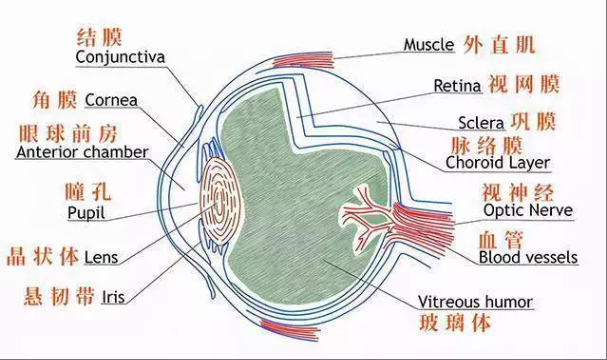 1760925714316680.png wechat_2025-10-20_100141_899.png